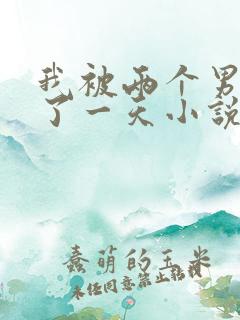 我被两个男人躁了一天小说