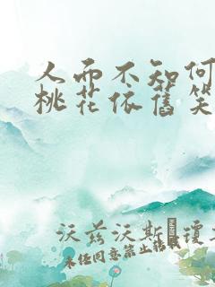 人面不知何处去桃花依旧笑春风表达了什么