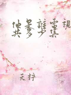 他是谁电视剧一共多少集