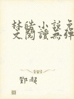 林皓小说免费全文阅读无弹窗