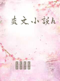 爽文小说h