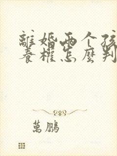 离婚两个孩子抚养权怎么判