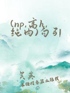(np,高h,纯肉)勾引