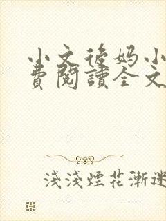 小文后妈小说免费阅读全文最新章节