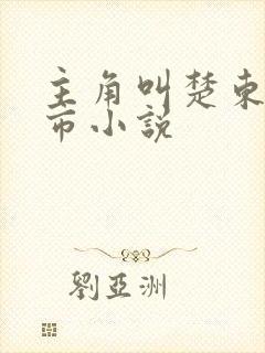 主角叫楚东的都市小说