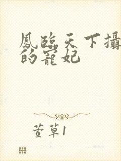 凤临天下摄政王的宠妃