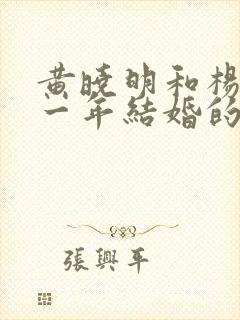 黄晓明和杨颖哪一年结婚的