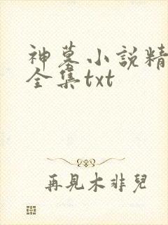 神墓小说精校版全集txt