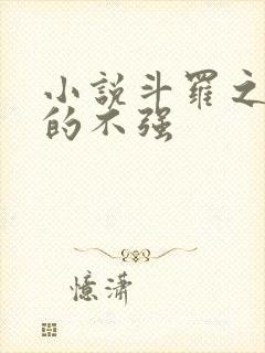 小说斗罗之我真的不强