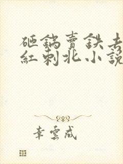 砸锅卖铁去上学红刺北小说全集txt