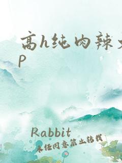 高h纯肉辣文np