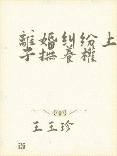 离婚纠纷上诉孩子抚养权