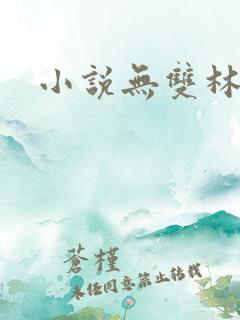 小说无双林天