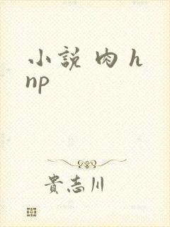 小说 肉 h np