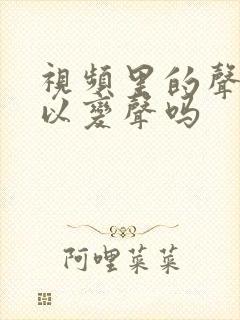 视频里的声音可以变声吗