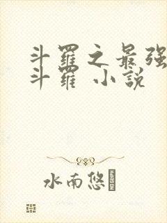 斗罗之最强本体斗罗 小说