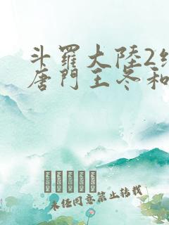 斗罗大陆2绝世唐门王冬和霍雨浩