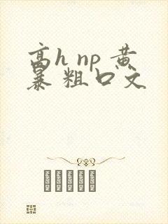 高h np 黄暴 粗口文