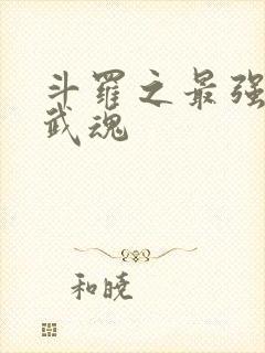 斗罗之最强双生武魂