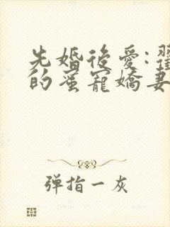 先婚后爱:翟少的蜜宠娇妻