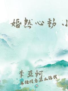 婚然心动 小说