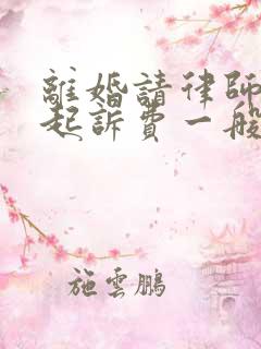 离婚请律师处理起诉费一般是多少钱啊