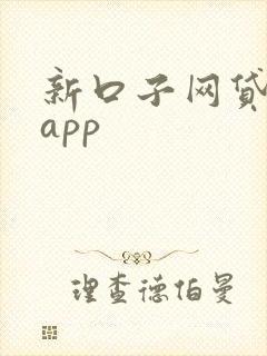 新口子网贷贷款app
