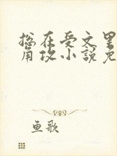 总在受文里抢主角攻小说免费阅读