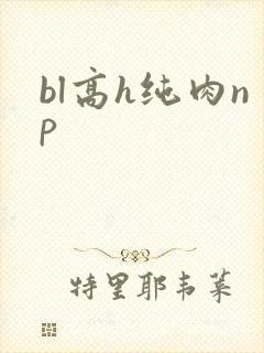 bl高h纯肉np