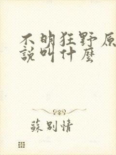 不明狂野原著小说叫什么