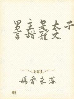 男主是太子的古言甜宠文