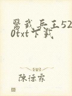 医武兵王5200txt下载