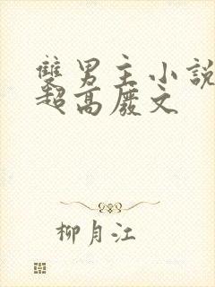 双男主小说车速超高废文