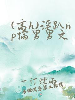 (高h)淫趴np伦男男文