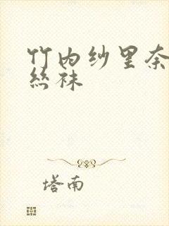 竹内纱里奈人妻丝袜