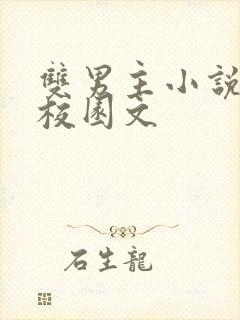 双男主小说推荐校园文