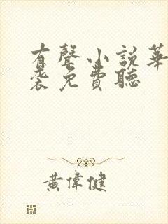 有声小说华丽逆袭免费听