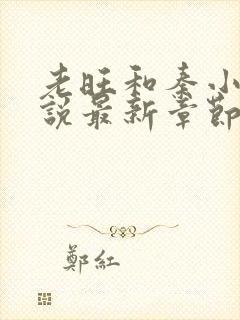 老旺和秦小雨小说最新章节