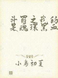 斗罗之我的武魂是魂环黑血粉