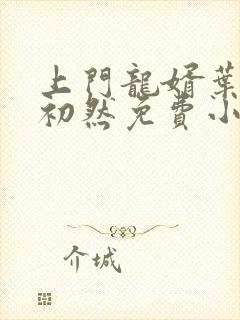 上门龙婿叶辰萧初然免费小说