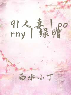 91人妻丨porny丨绿帽