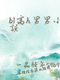 bl高h男男小说