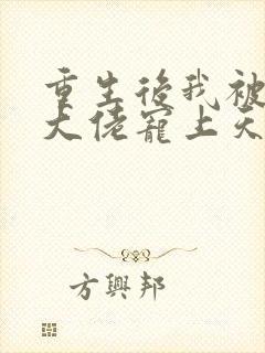 重生后我被病娇大佬宠上天 txt