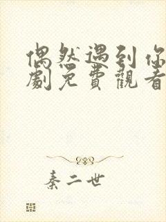 偶然遇到你电视剧免费观看全集高清