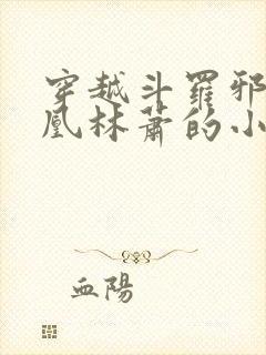 穿越斗罗邪火凤凰林萧的小说