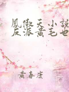凤傲天小说里的反派黄毛也想要幸福
