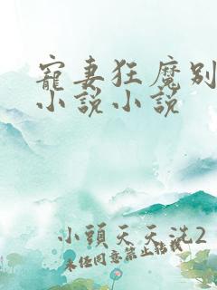 宠妻狂魔别太坏小说小说