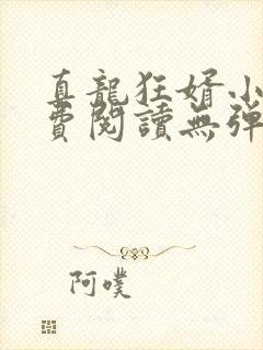 真龙狂婿小说免费阅读无弹窗