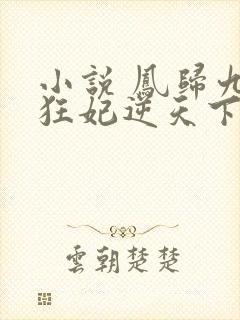 小说 凤归九霄狂妃逆天下