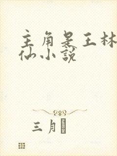 主角是王林的修仙小说